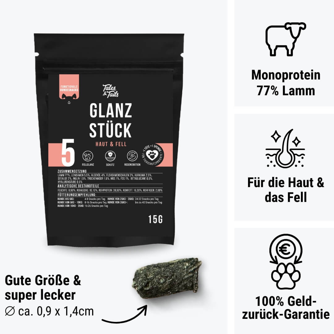 Probe - Glanzstück