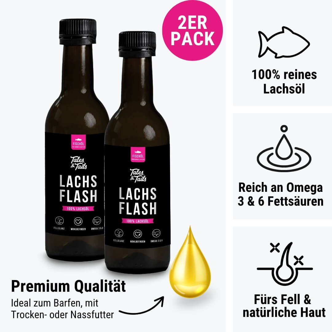 Lachsflash