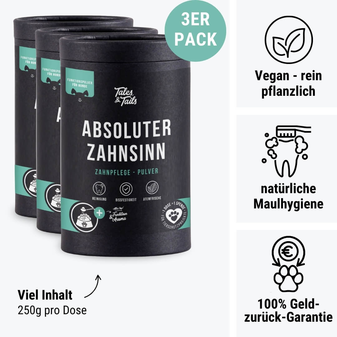 Absoluter ZahnSinn