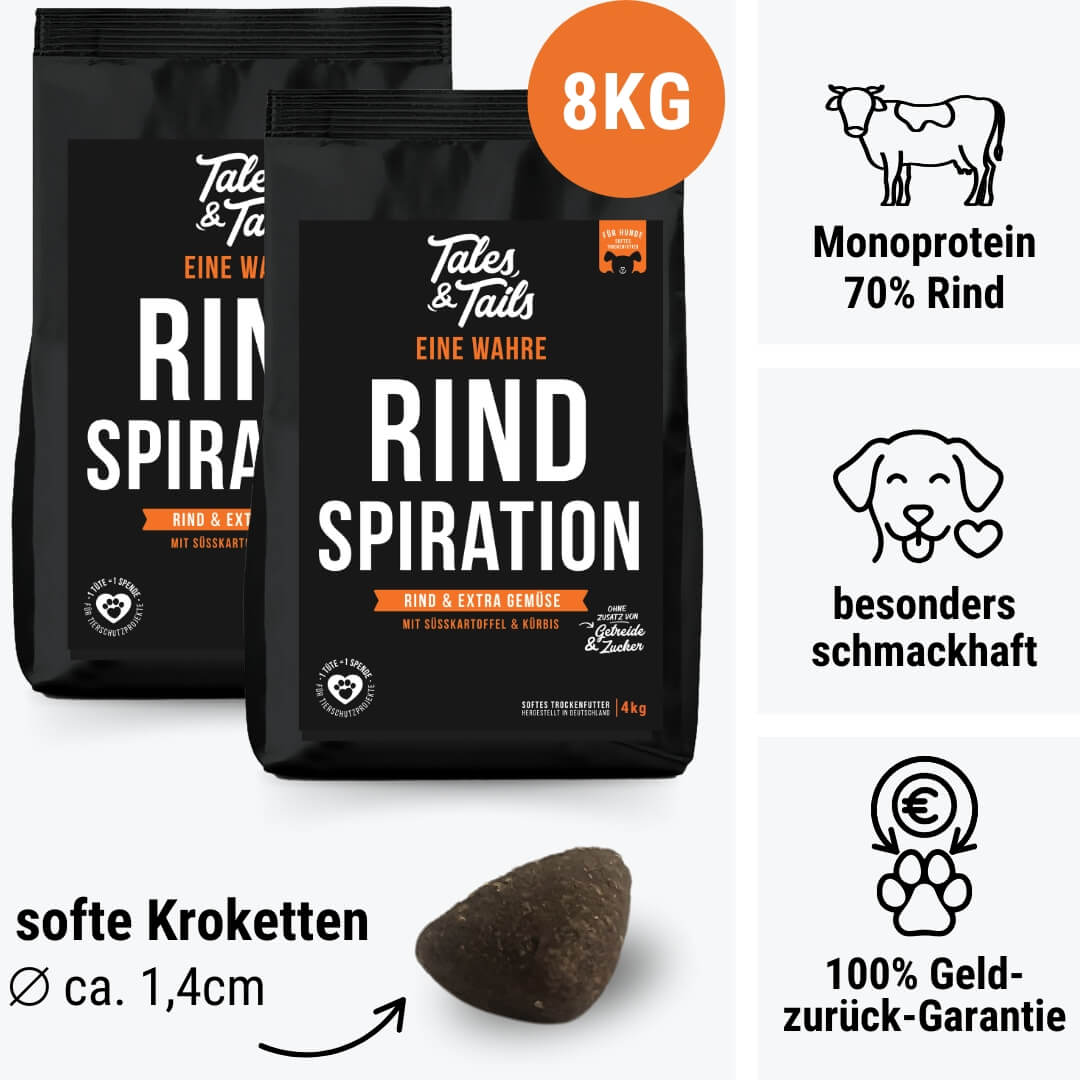 Eine wahre Rindspiration