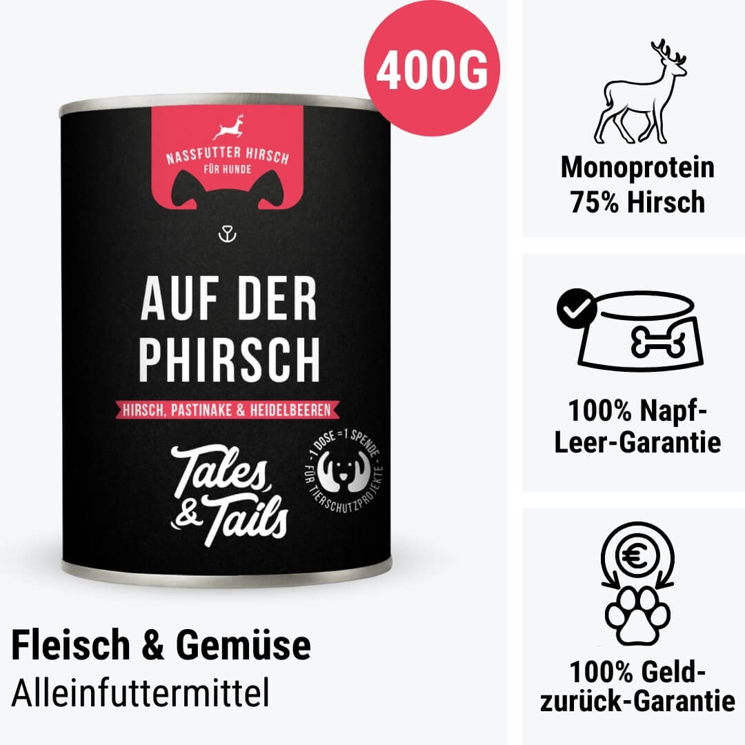 Auf der PHirsch
