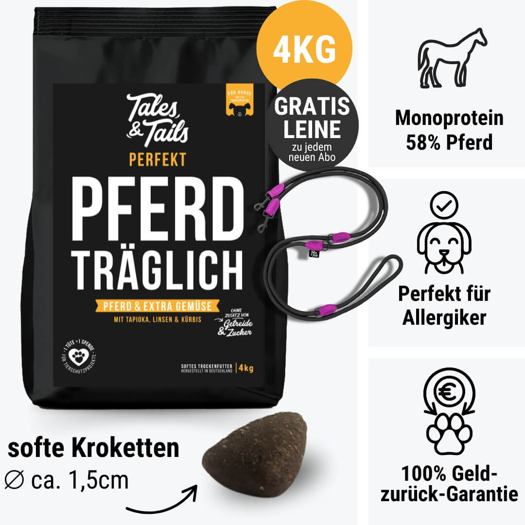 Perfekt PferdTräglich