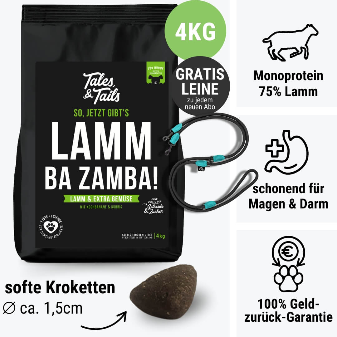 LammBa Zamba!