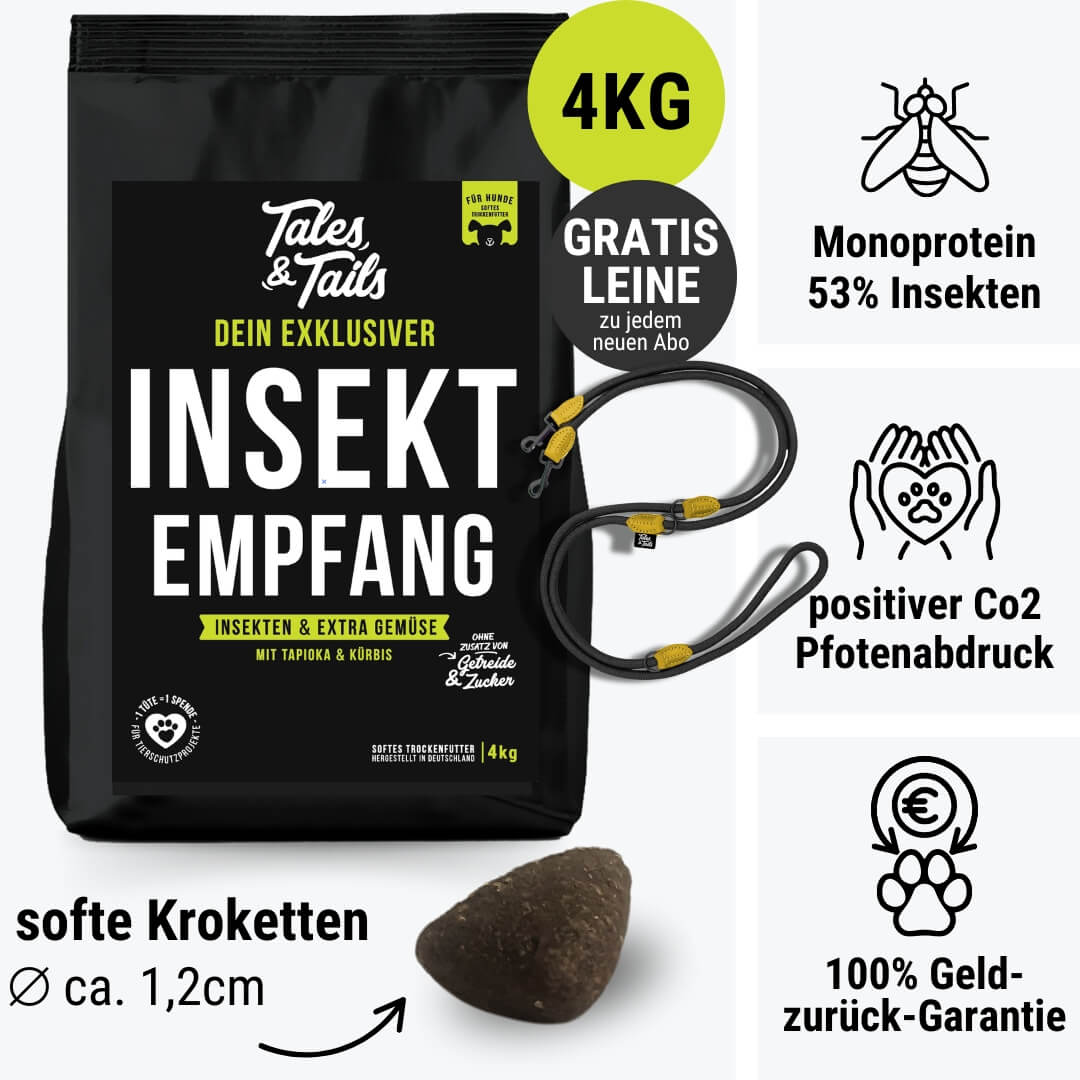 InSektempfang