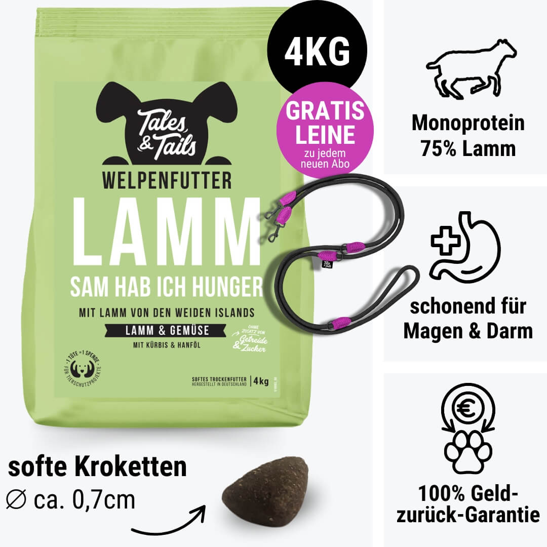 LammSam hab ich Hunger