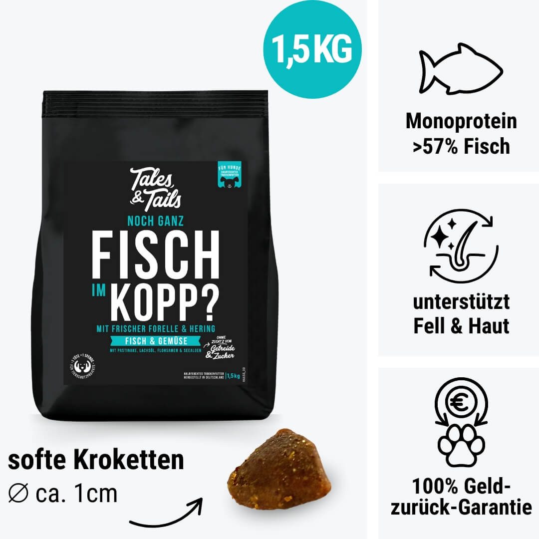 Noch ganz Fisch im Kopp? - 1,5kg