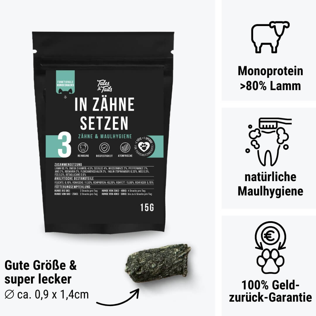 Probe - In Zähne setzen