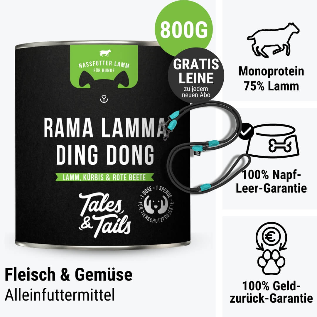 Rama Lamma Ding Dong