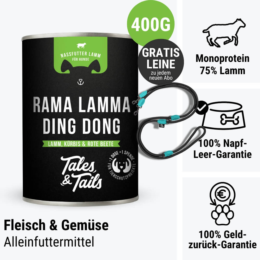 Rama Lamma Ding Dong