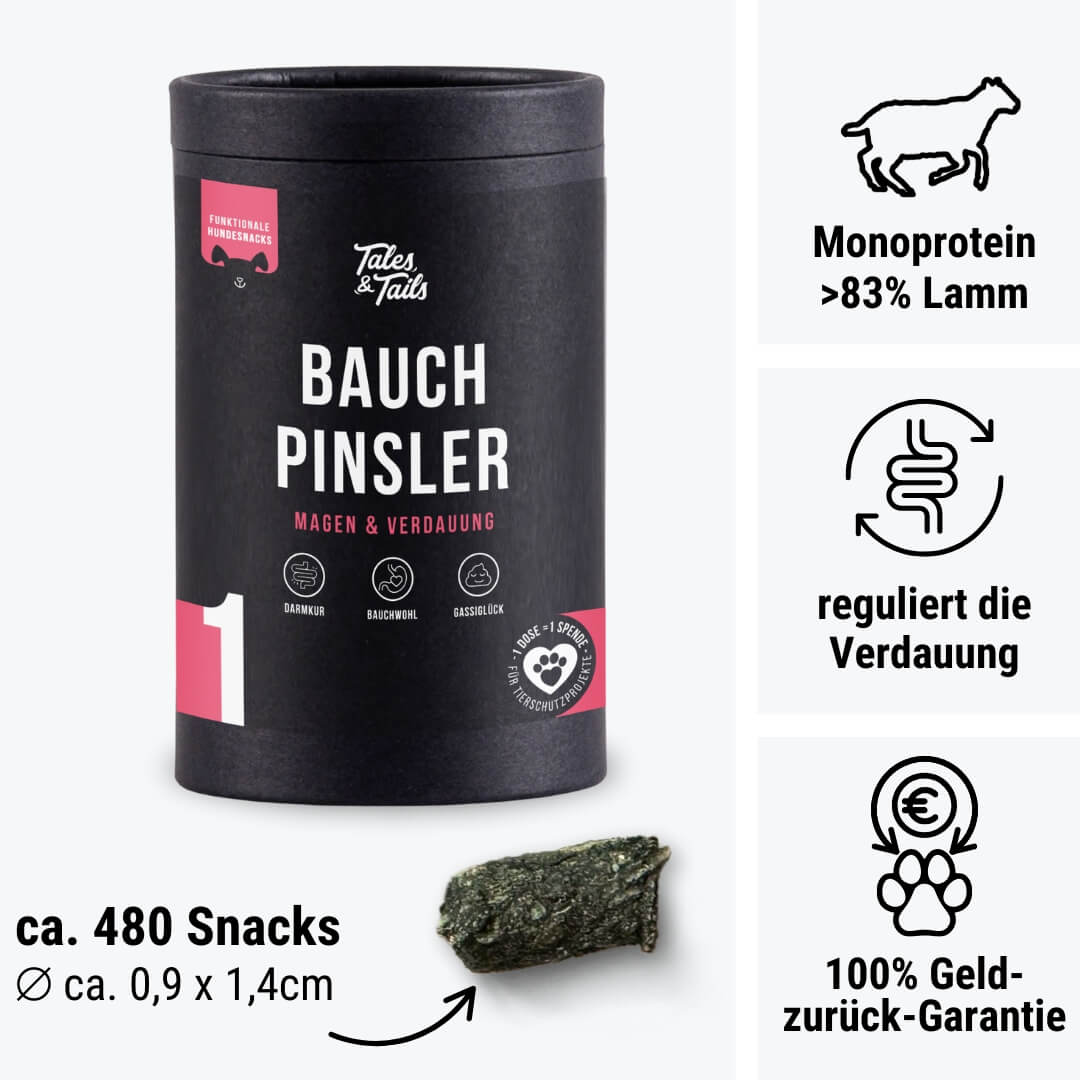 Bauchpinsler