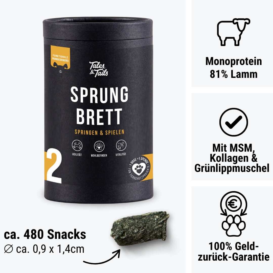 Sprungbrett