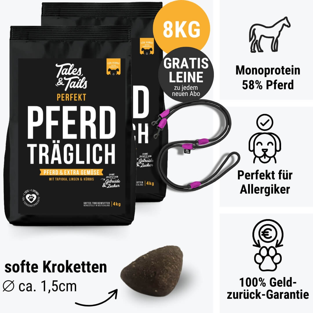 Perfekt PferdTräglich