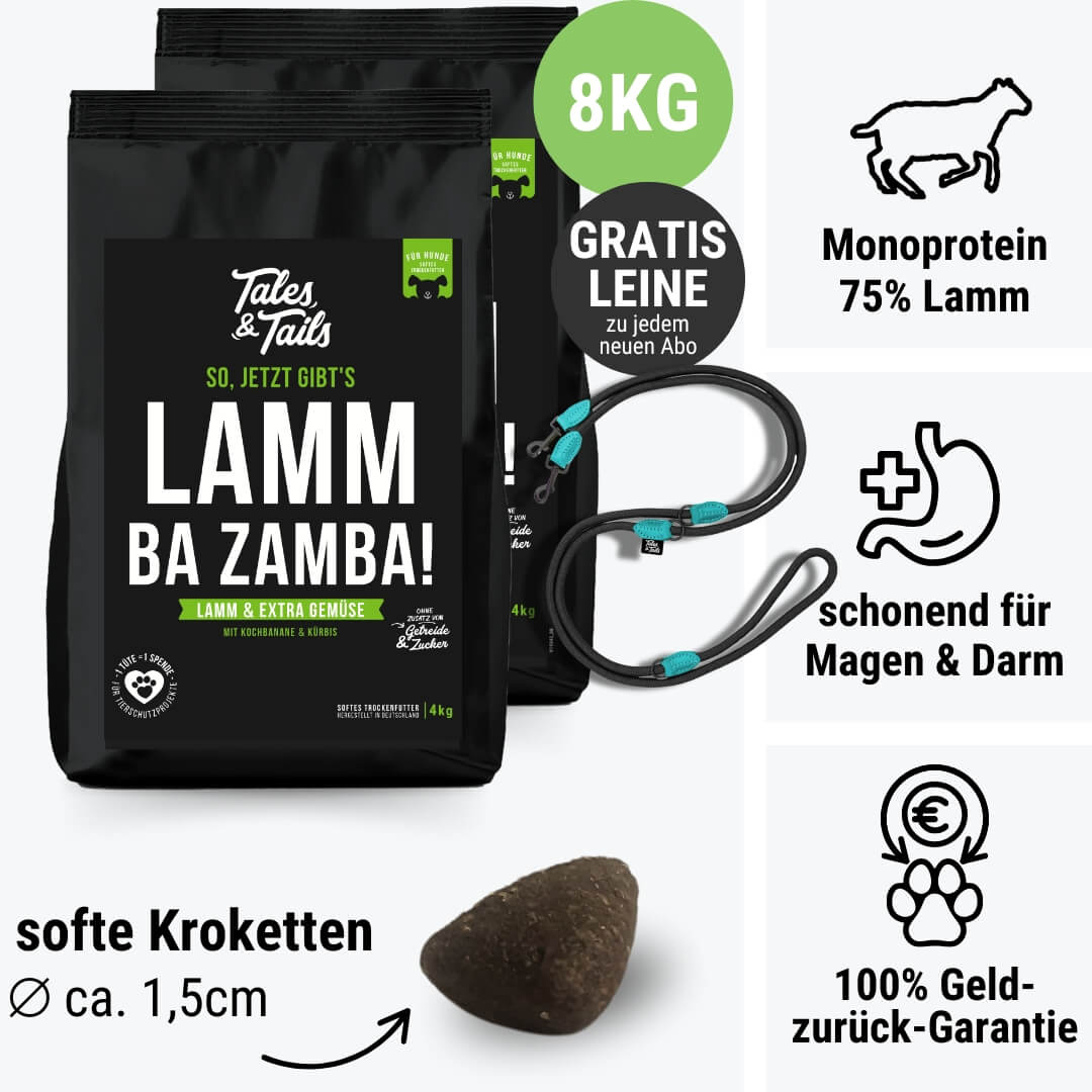LammBa Zamba!