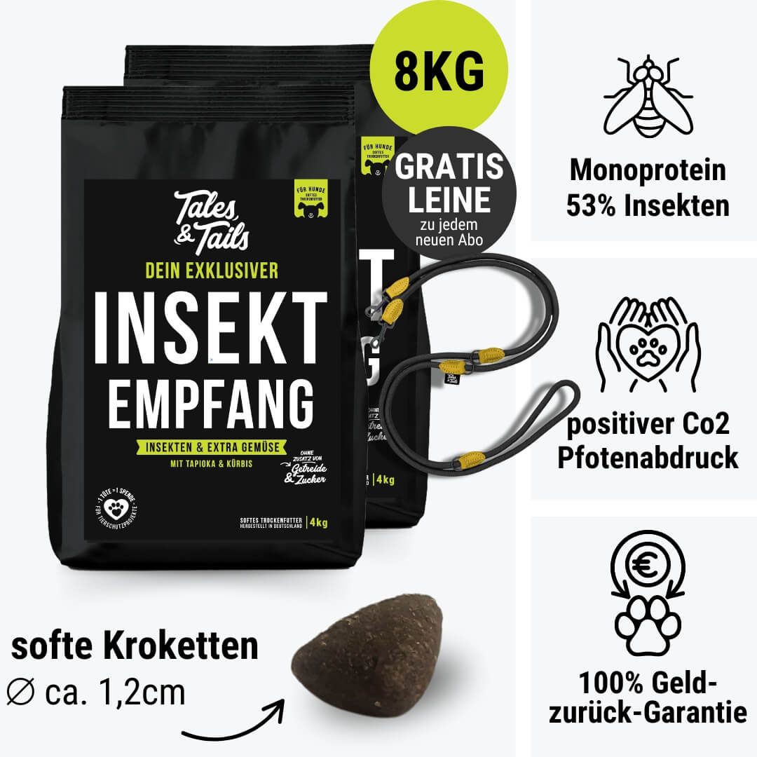 InSektempfang