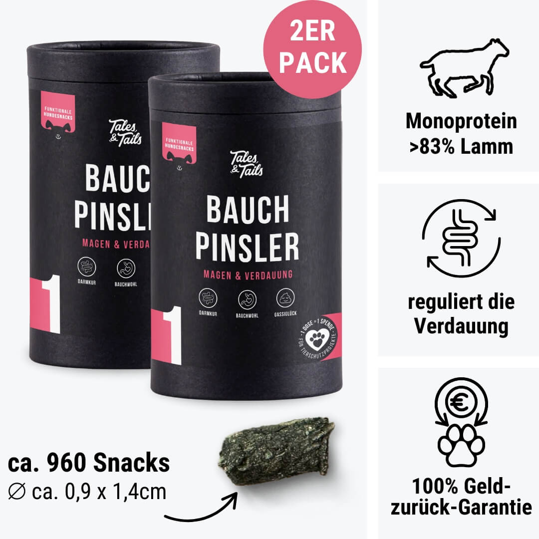 Bauchpinsler