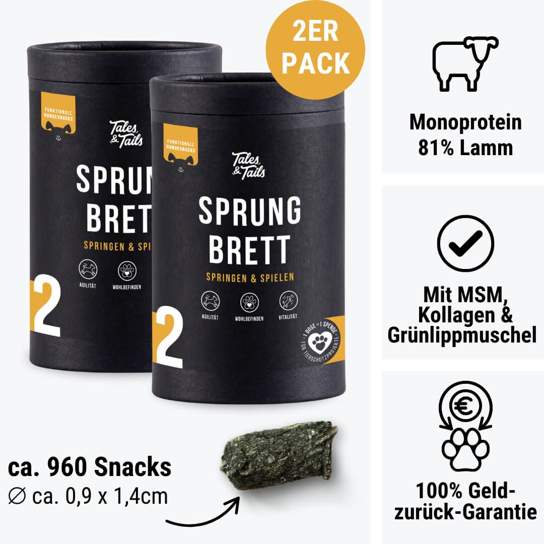 Sprungbrett