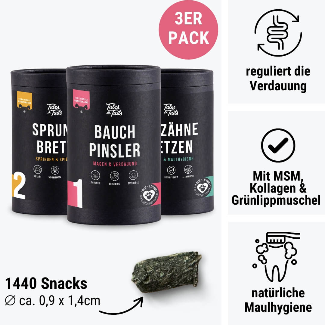 Rundum-Sorglos-Paket