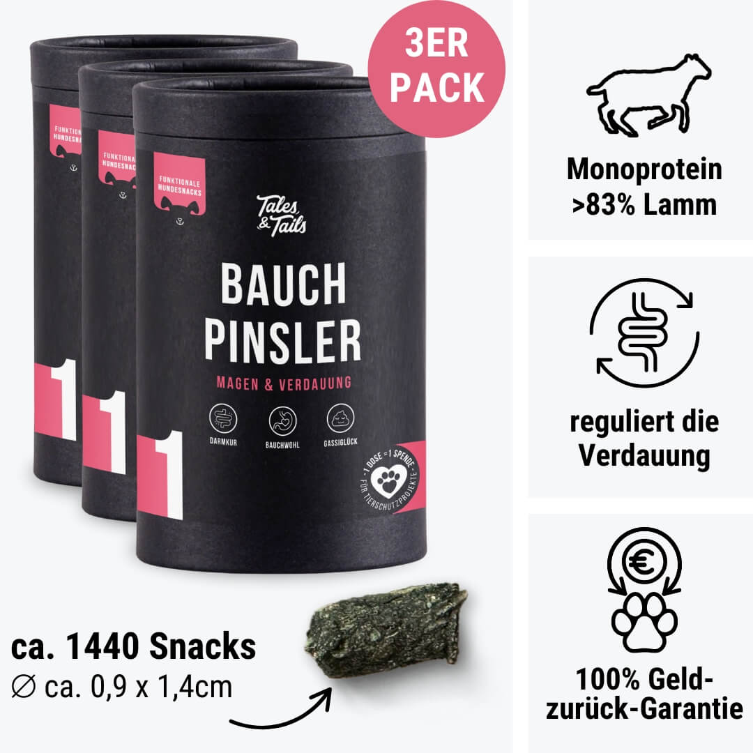 Bauchpinsler