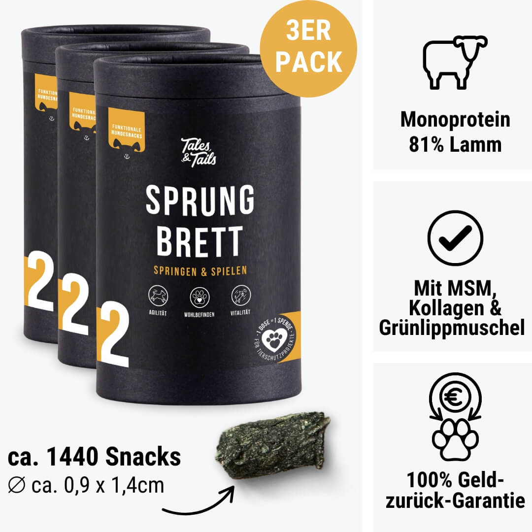 Sprungbrett
