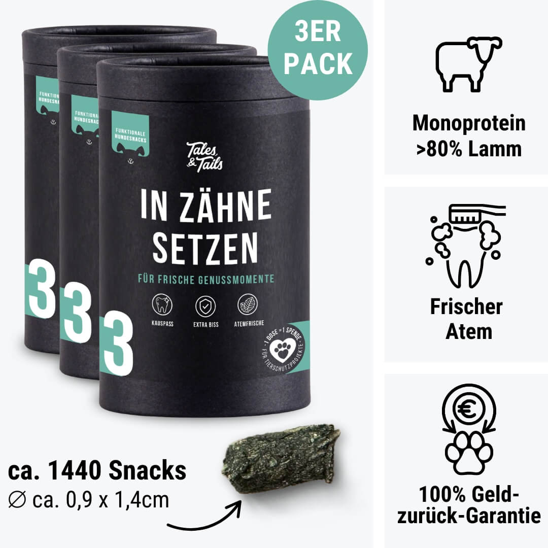 In Zähne setzen