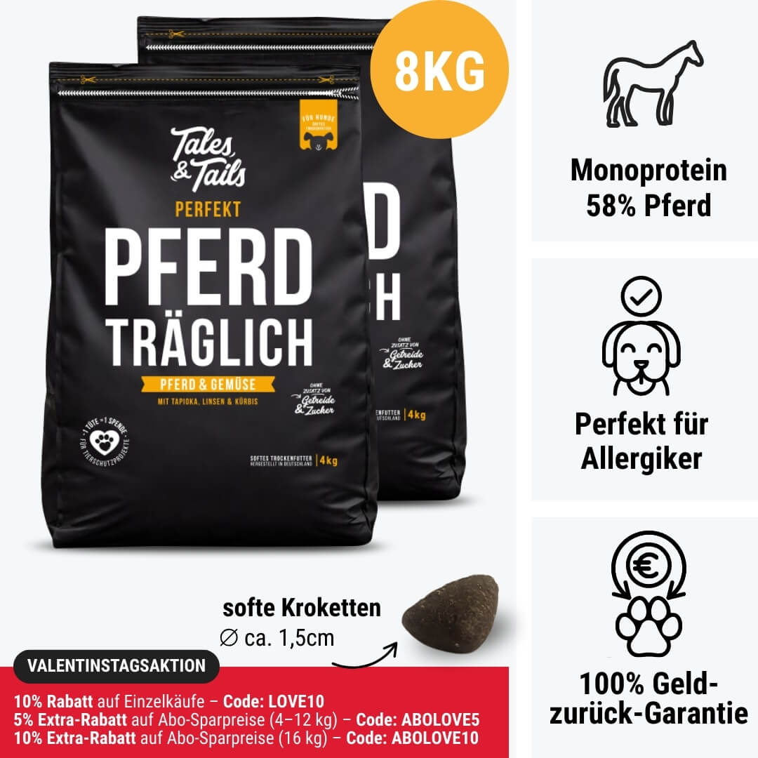 Perfekt PferdTräglich