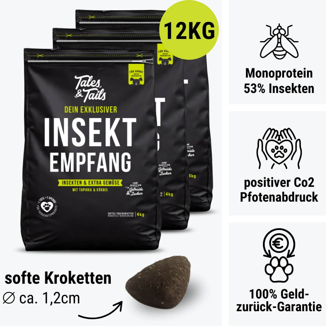 InSektempfang