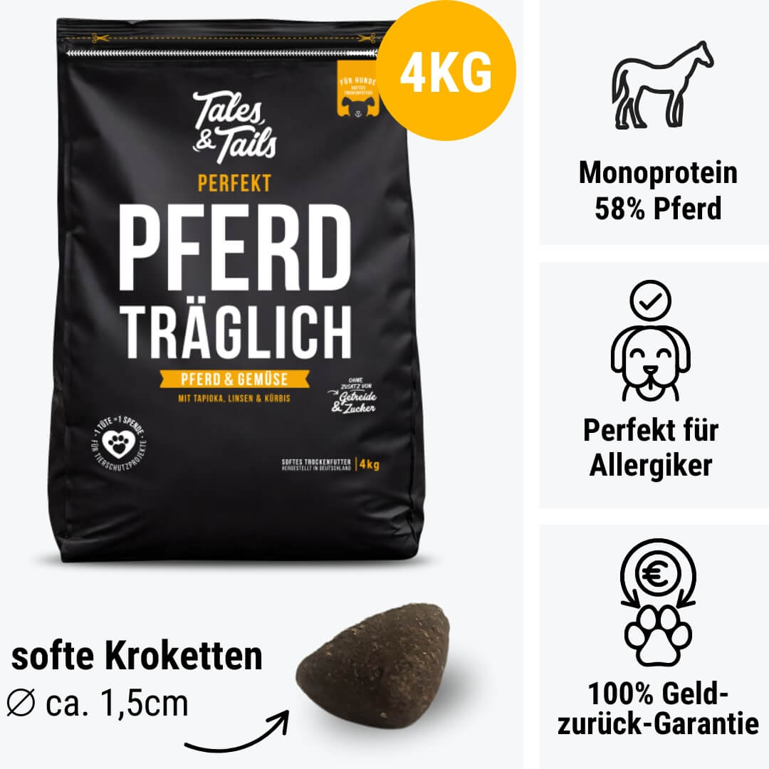 Perfekt PferdTräglich