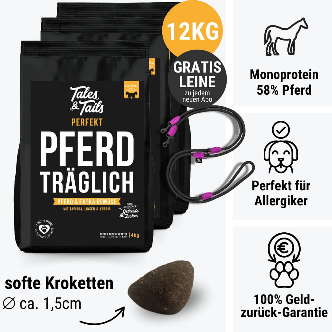 Perfekt PferdTräglich