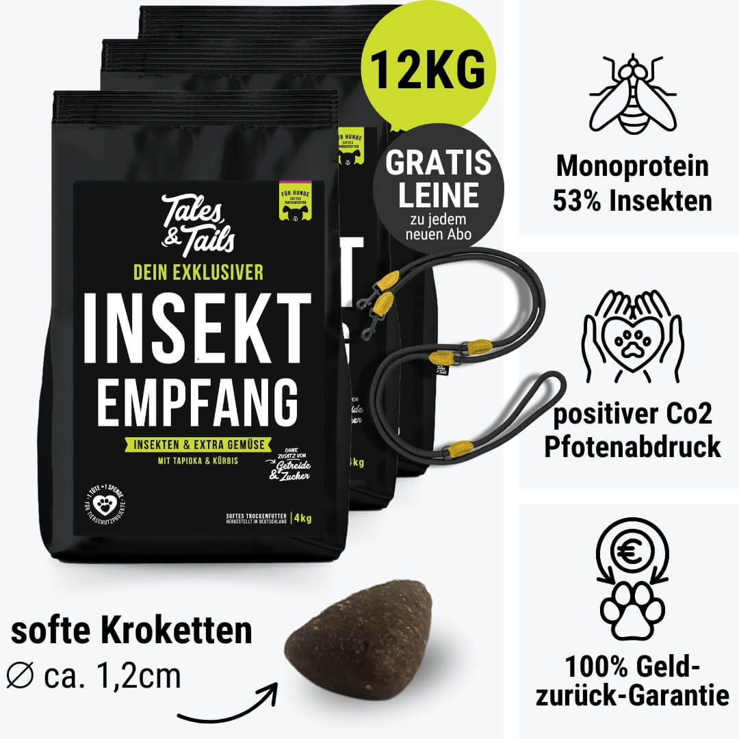 InSektempfang