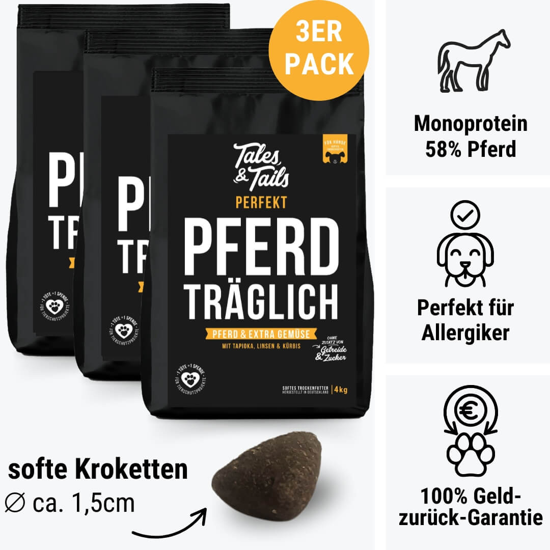 Perfekt PferdTräglich