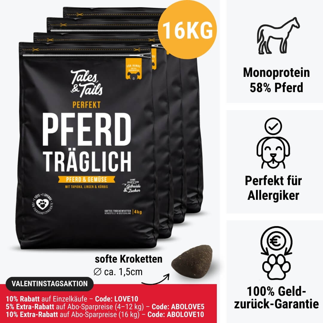 Perfekt PferdTräglich