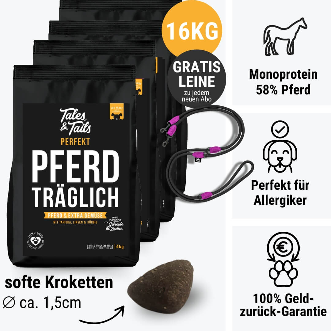 Perfekt PferdTräglich