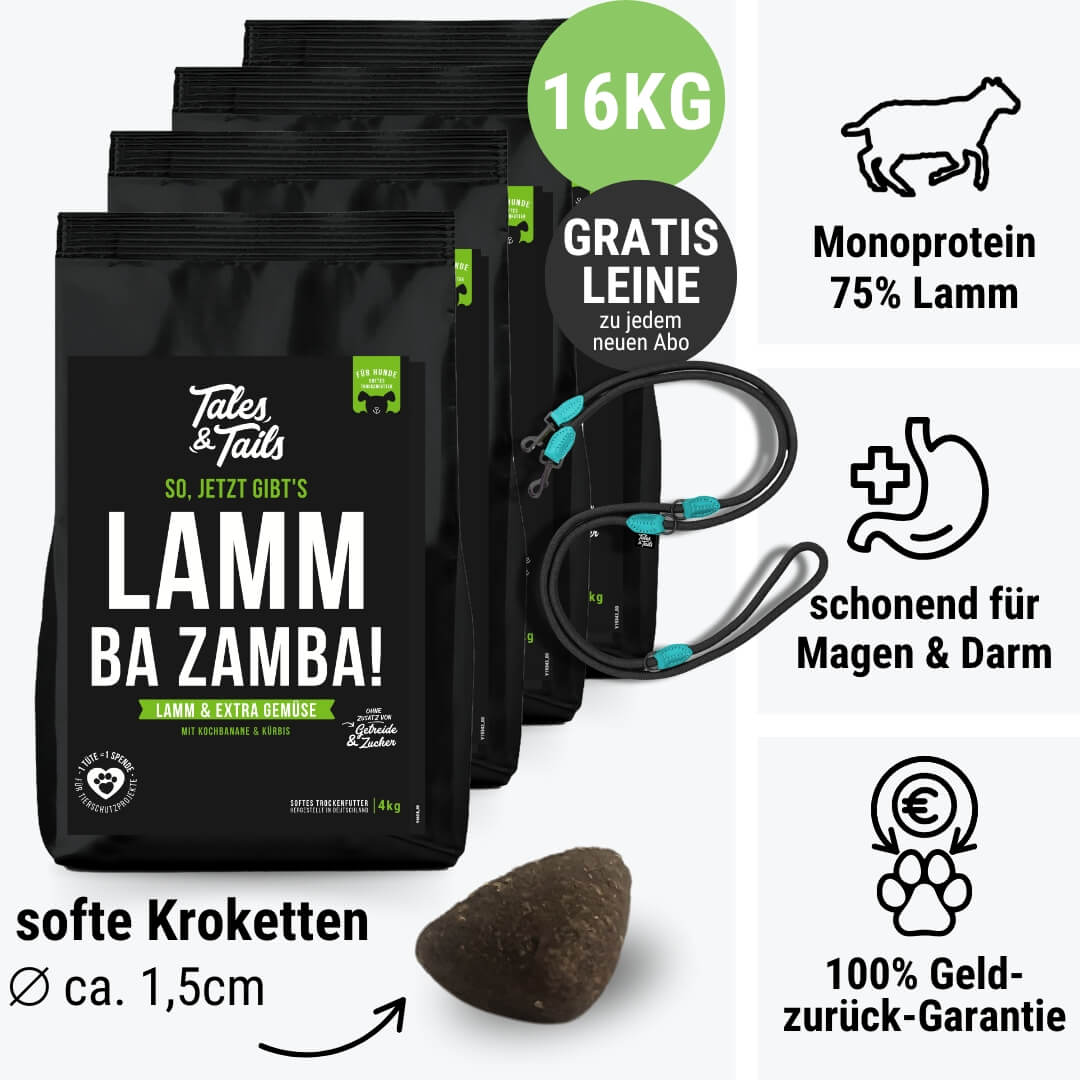 LammBa Zamba!