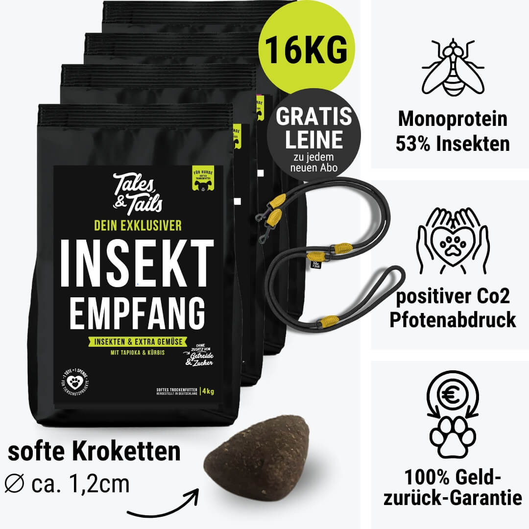 InSektempfang