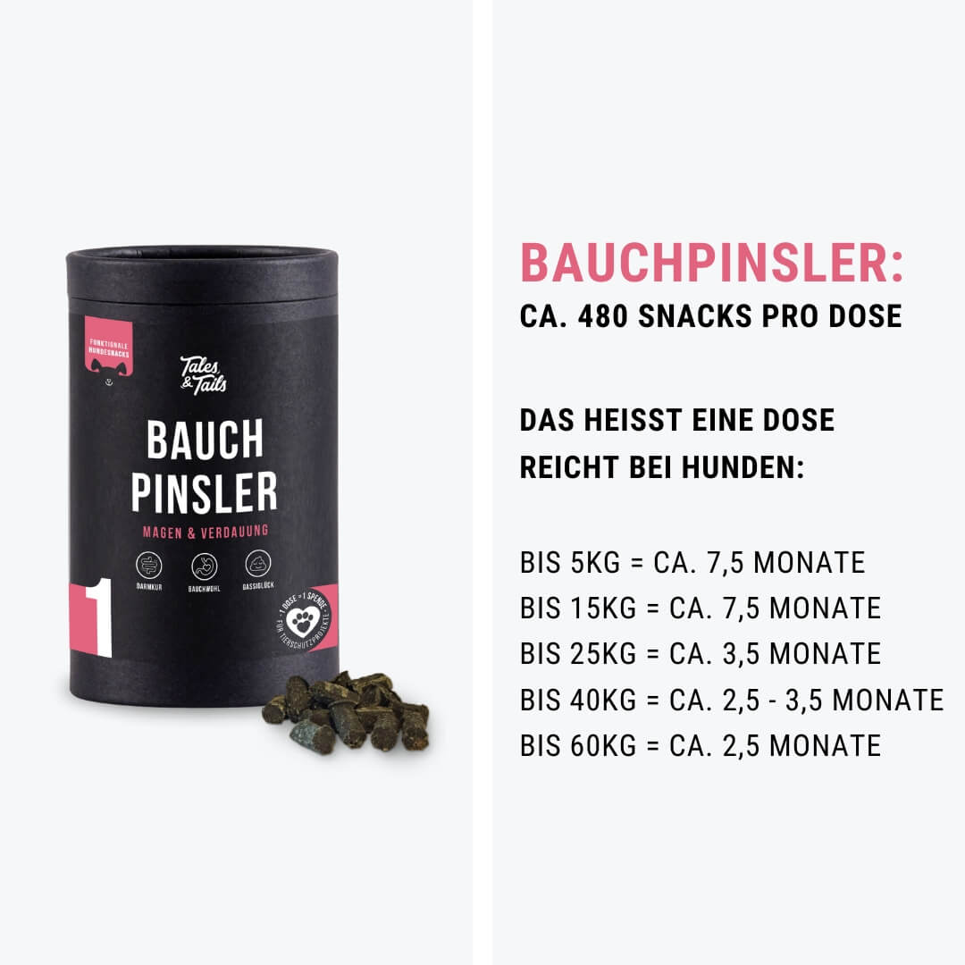 Bauchpinsler