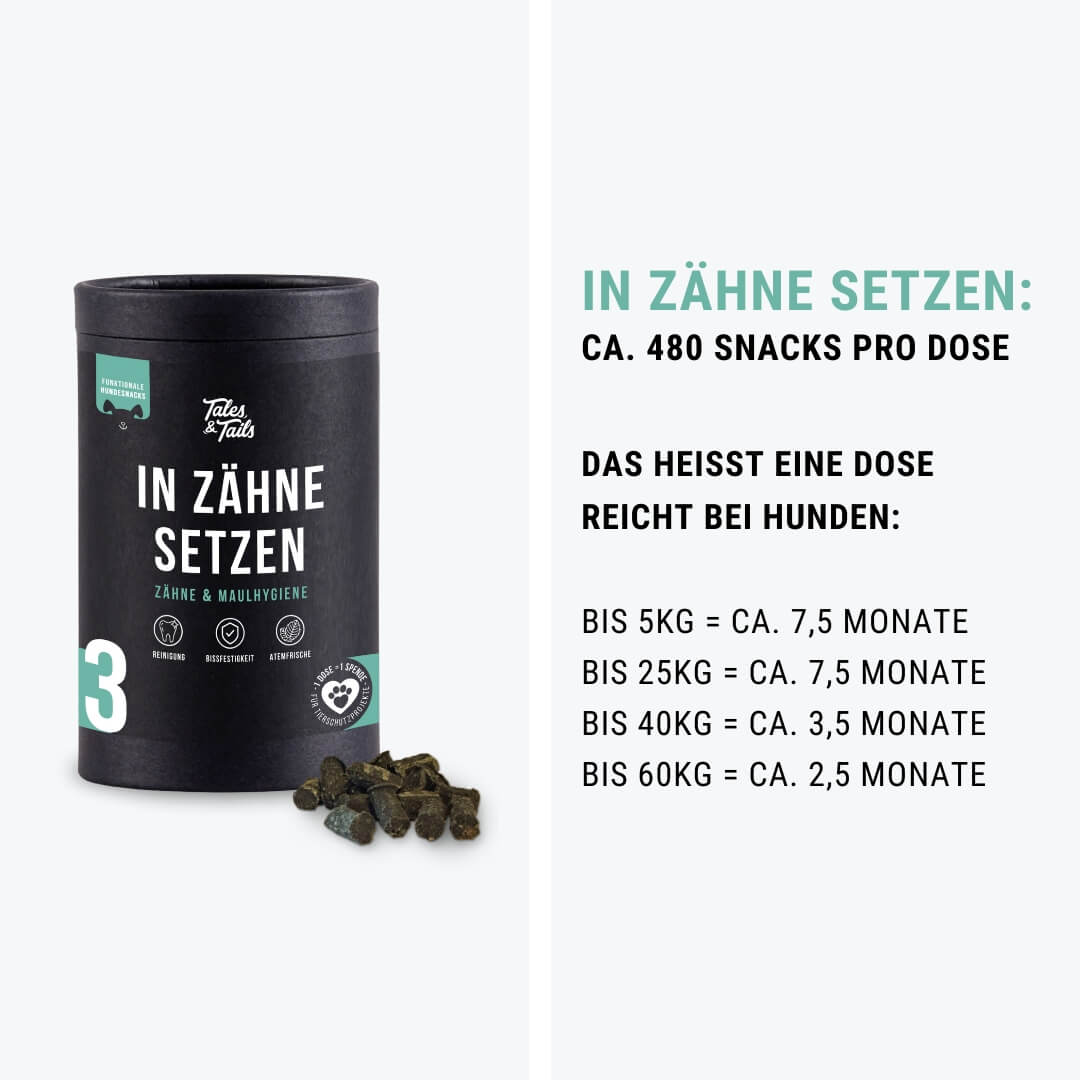 In Zähne setzen