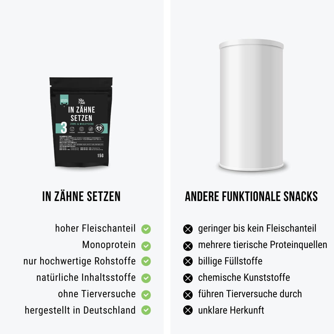 Probe - In Zähne setzen