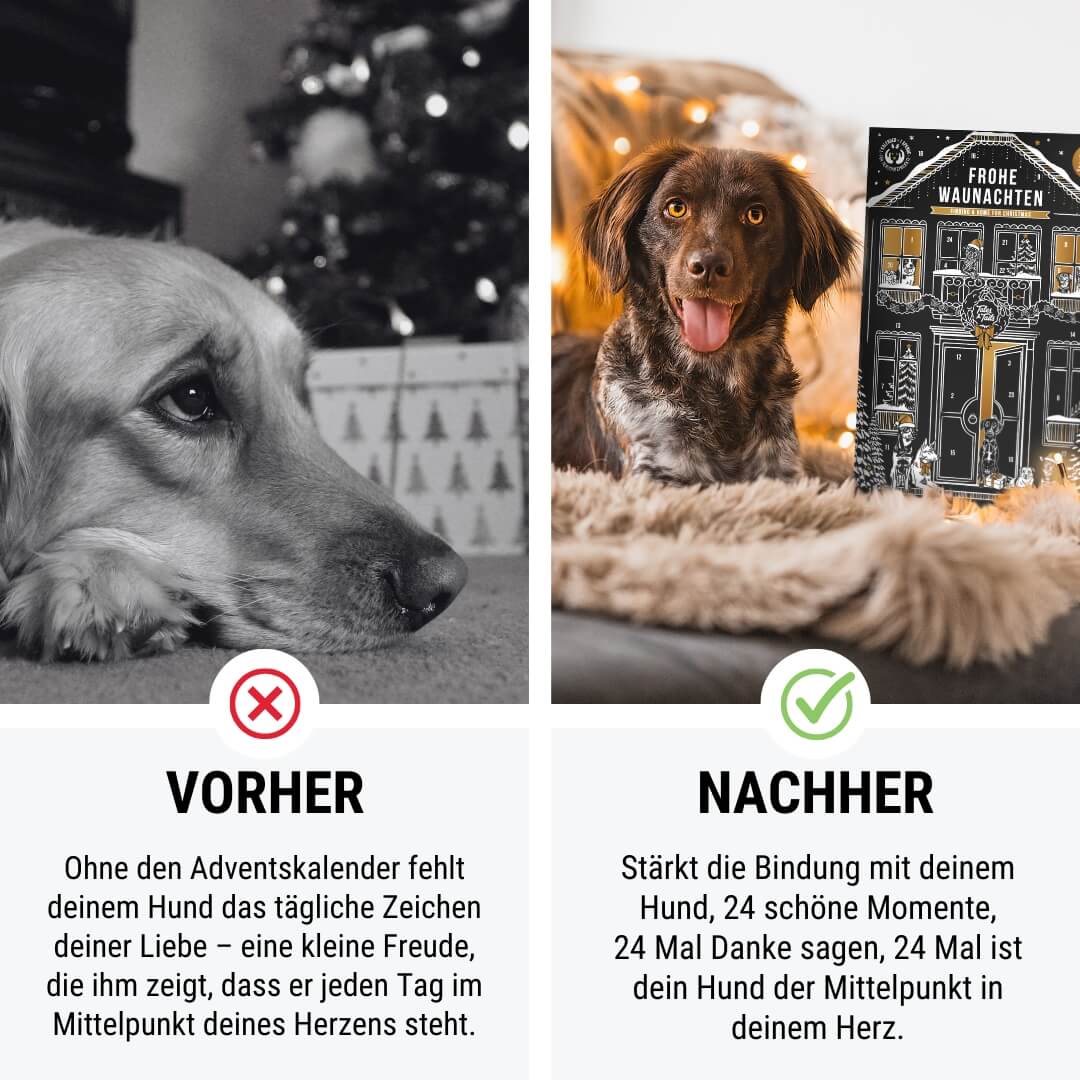 Adventskalender für Hunde