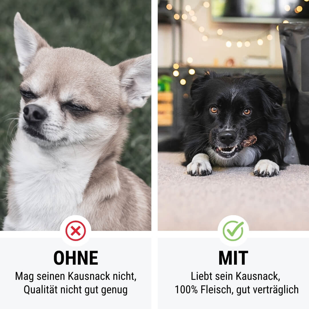 Einfach RinderLeicht genießen