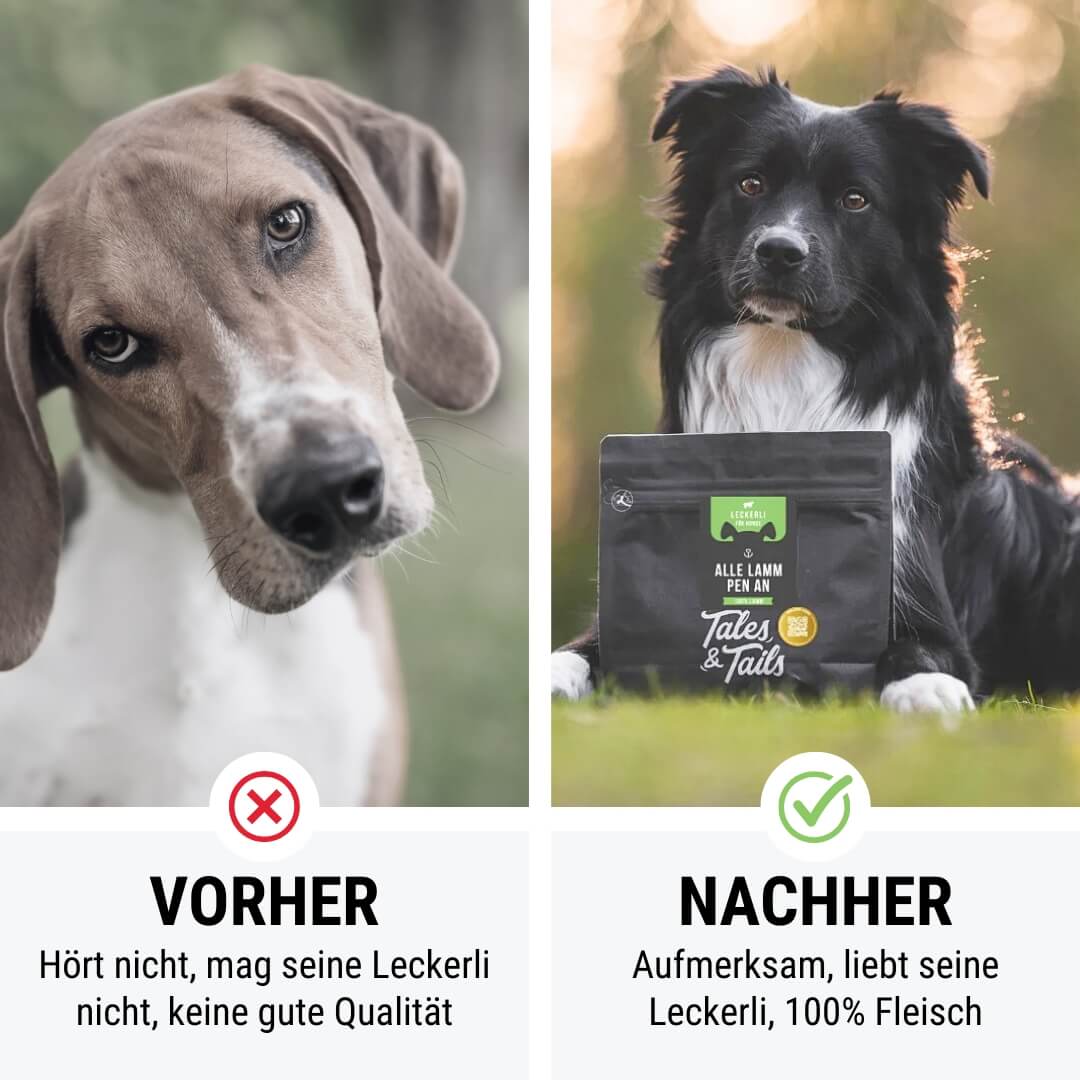 Alle LammPen an - 250g