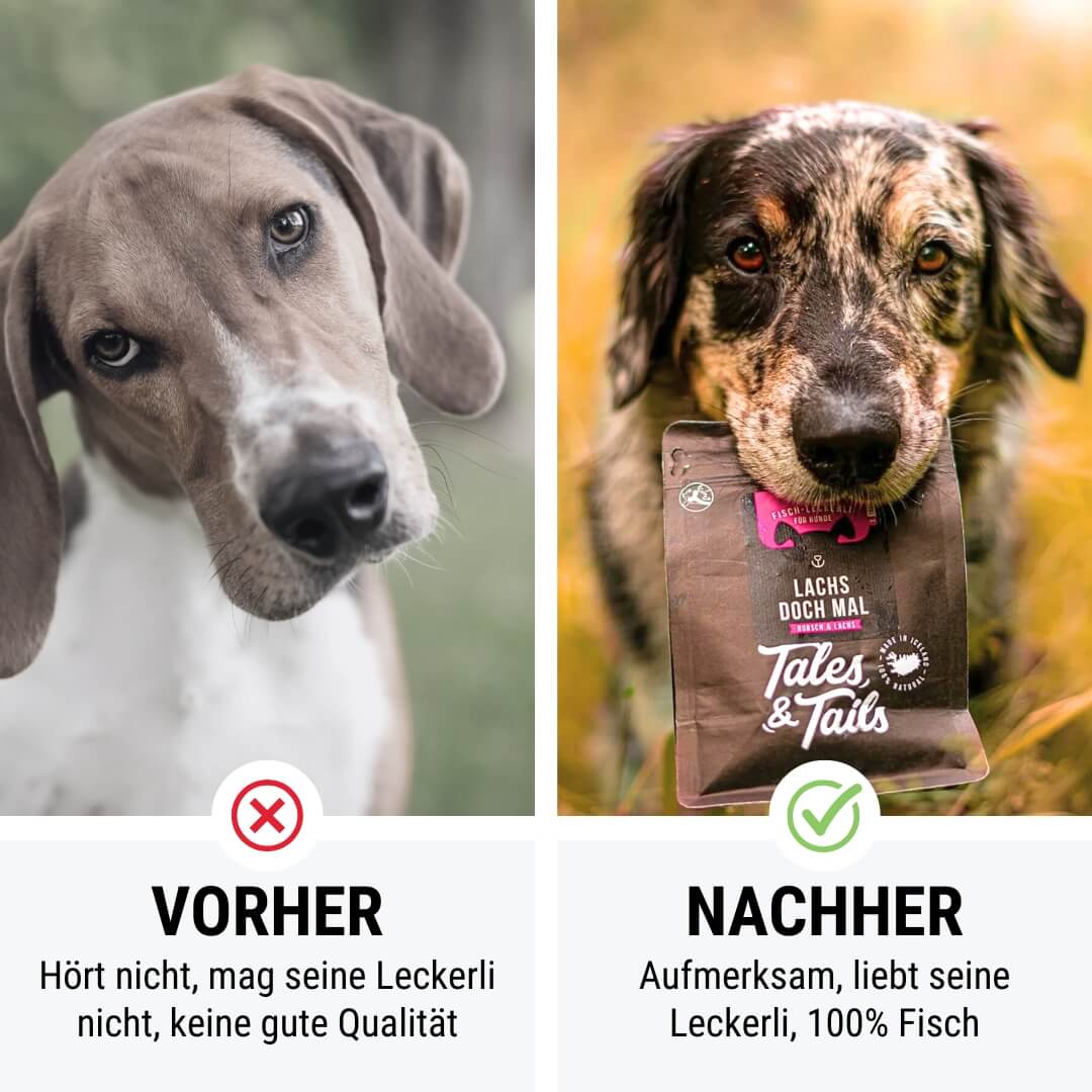 Lachs doch mal