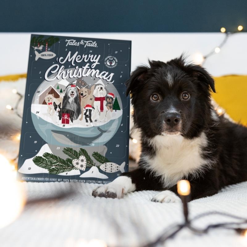 Adventskalender für Hunde