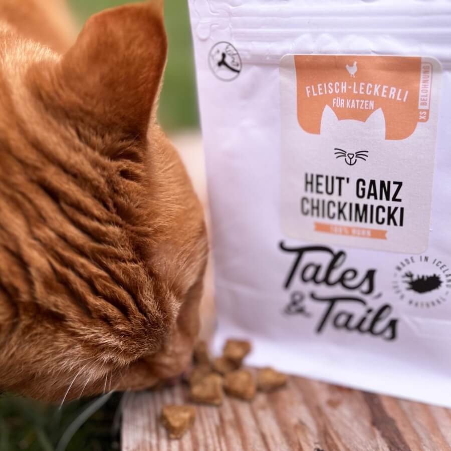 Leckerlipaket für Katzen