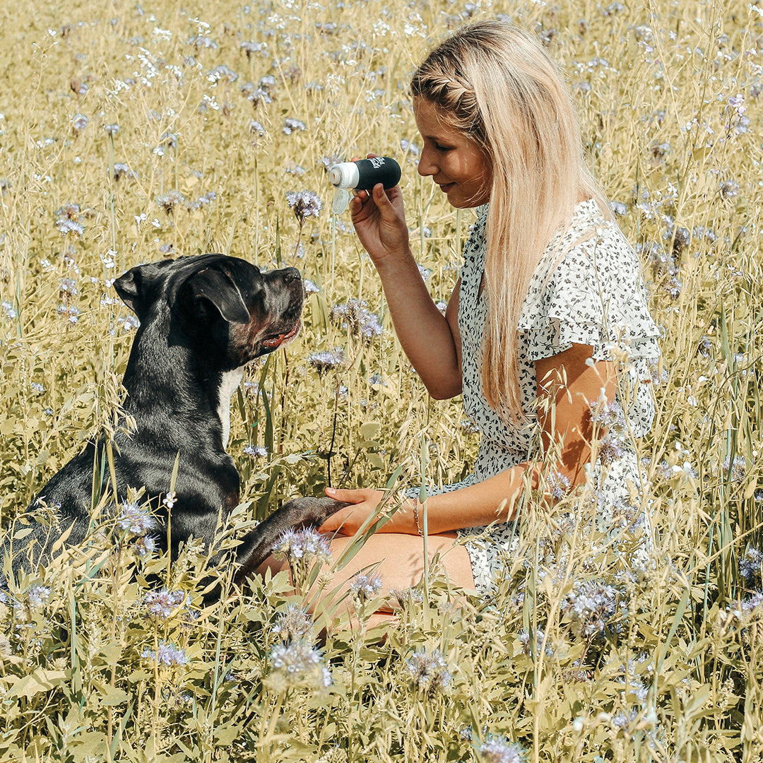 Befüllbare Tube zum Trainieren für Hunde