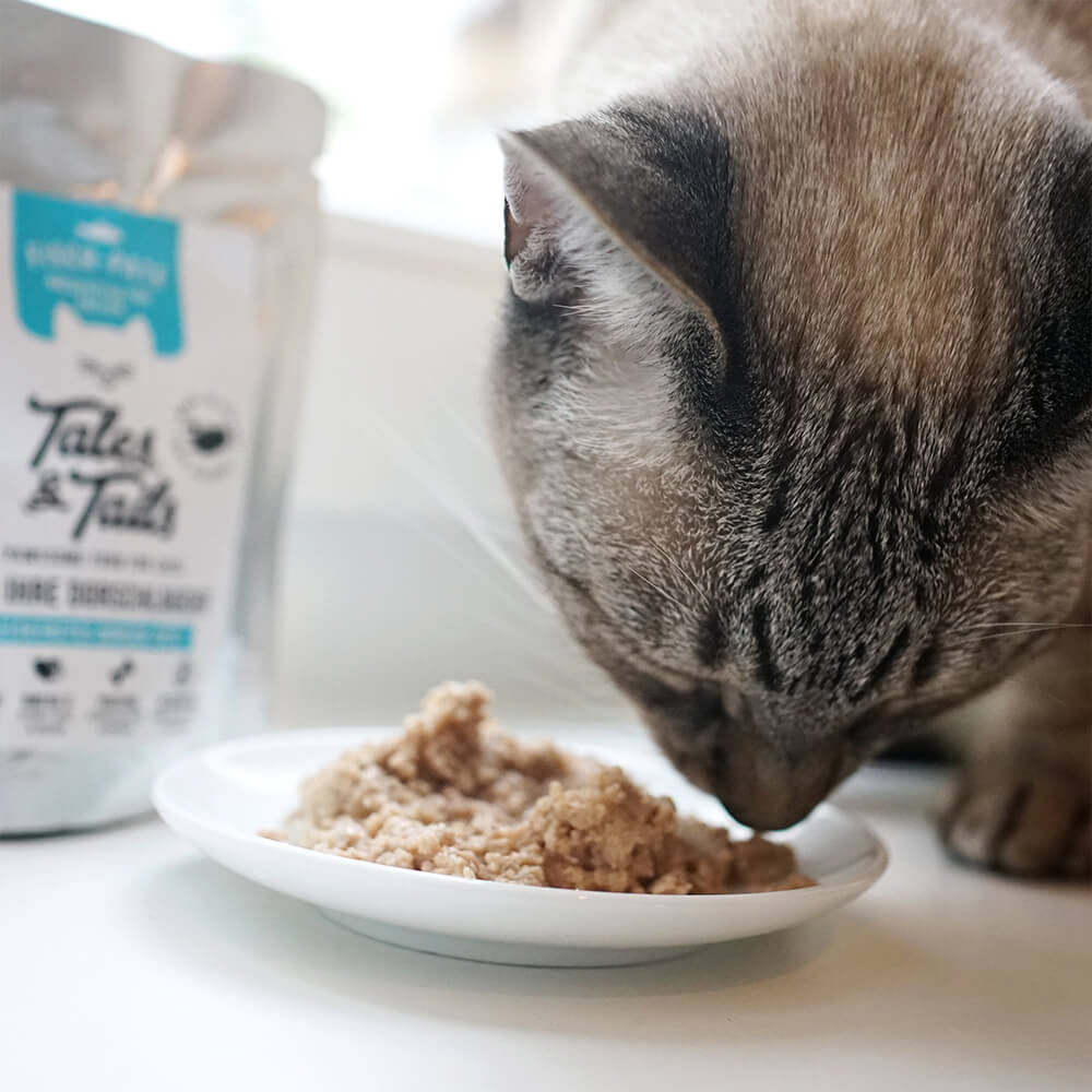 Nassfutter Dorsch für Katzen