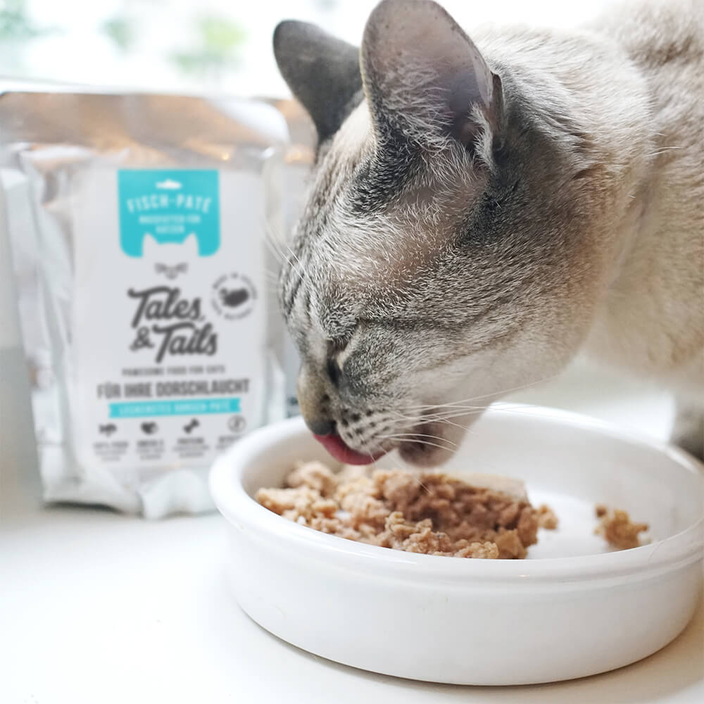 Katze frisst Nassfutter Dorsch aus Napf