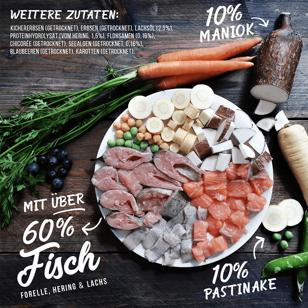 trockenfutter hunde mit Fisch halbfeucht