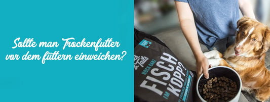 Sollte man Trockenfutter vor dem Füttern einweichen?