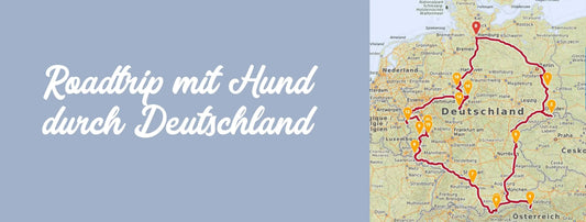 Roadtrip mit Hund durch Deutschland