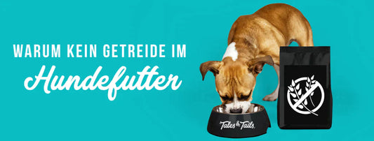 Getreide im Hundefutter | Tales & Tails Blog